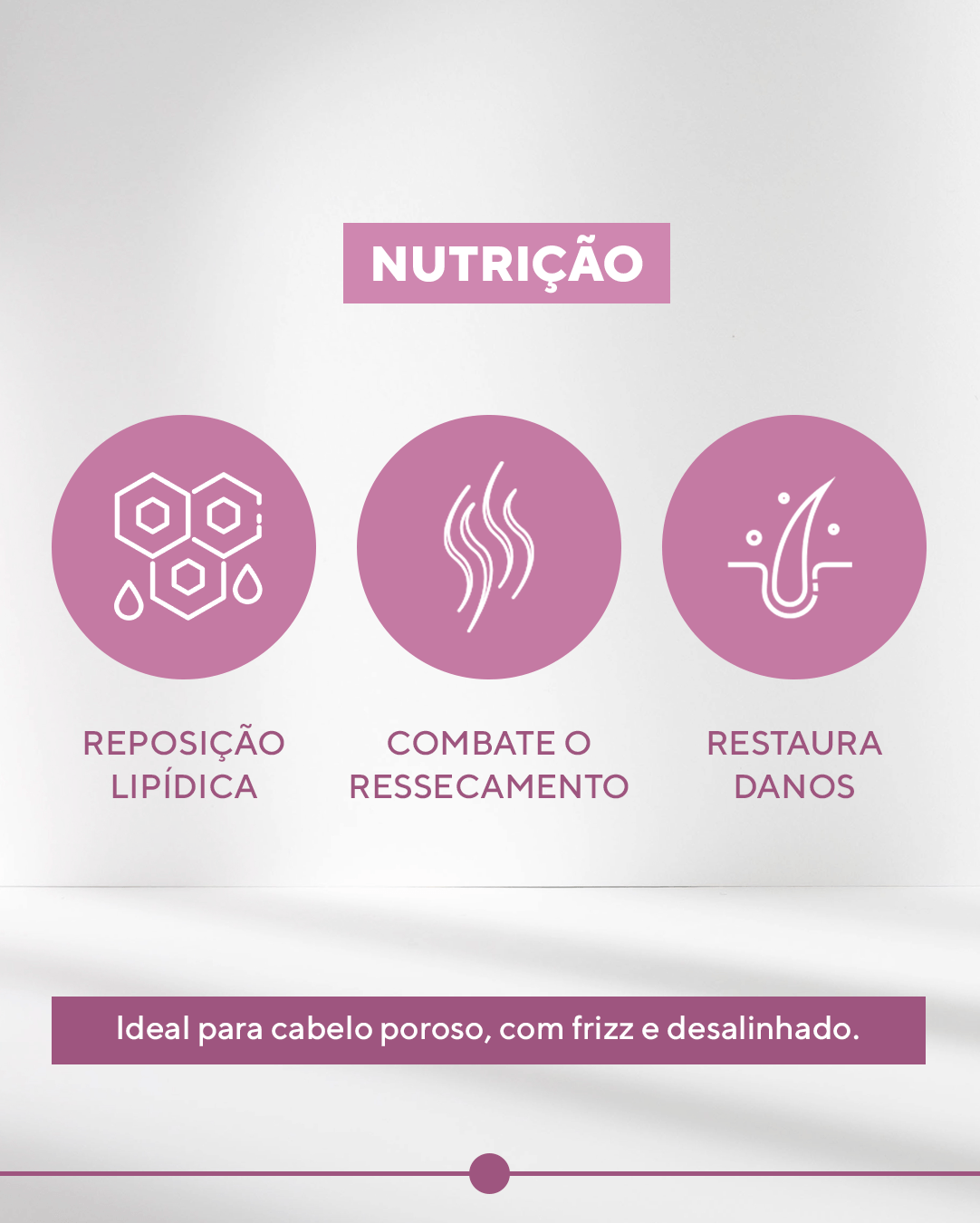 IG---Etapas-cronograma_02