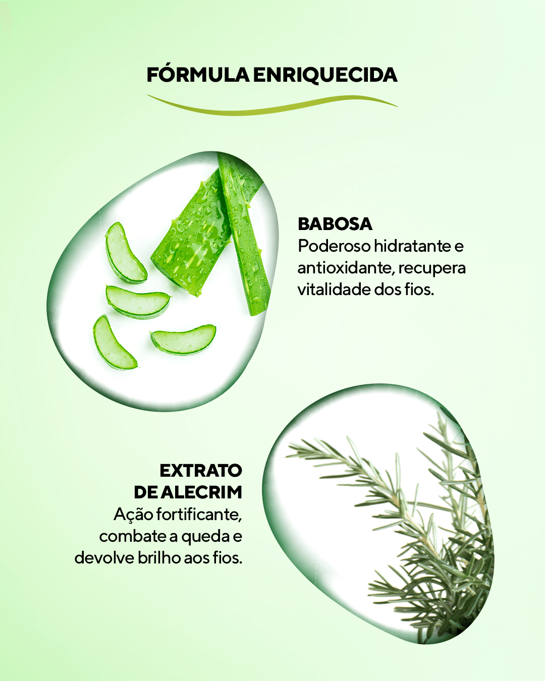 21-06-EICO-SPRAY-BABOSA-3